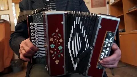 Играй гармошка видео