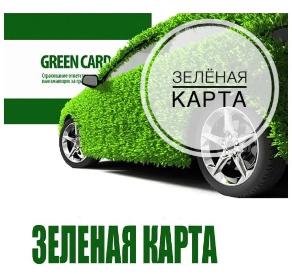 Грин карта машина европа. Полис зеленая карта. Полис зеленая карта. Зеленая карта. Грин карта для автомобиля в европу.