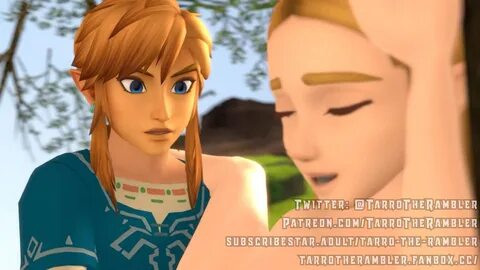 Breath Of The Wild Link 1boy Animated - Lewd.ninja 