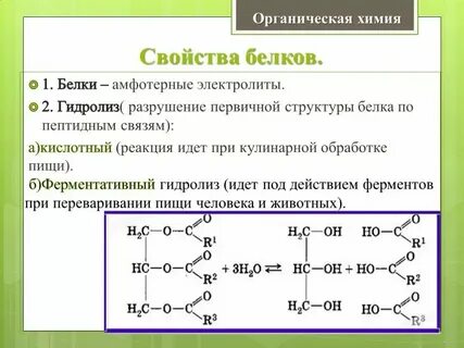 Белок в химии