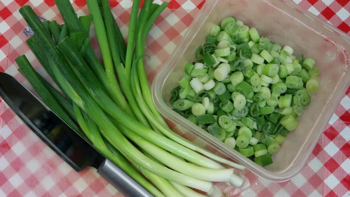 Как выглядит замороженный зеленый лук. Как заморозить зеленый лук. Green onion in Ice Haircut.