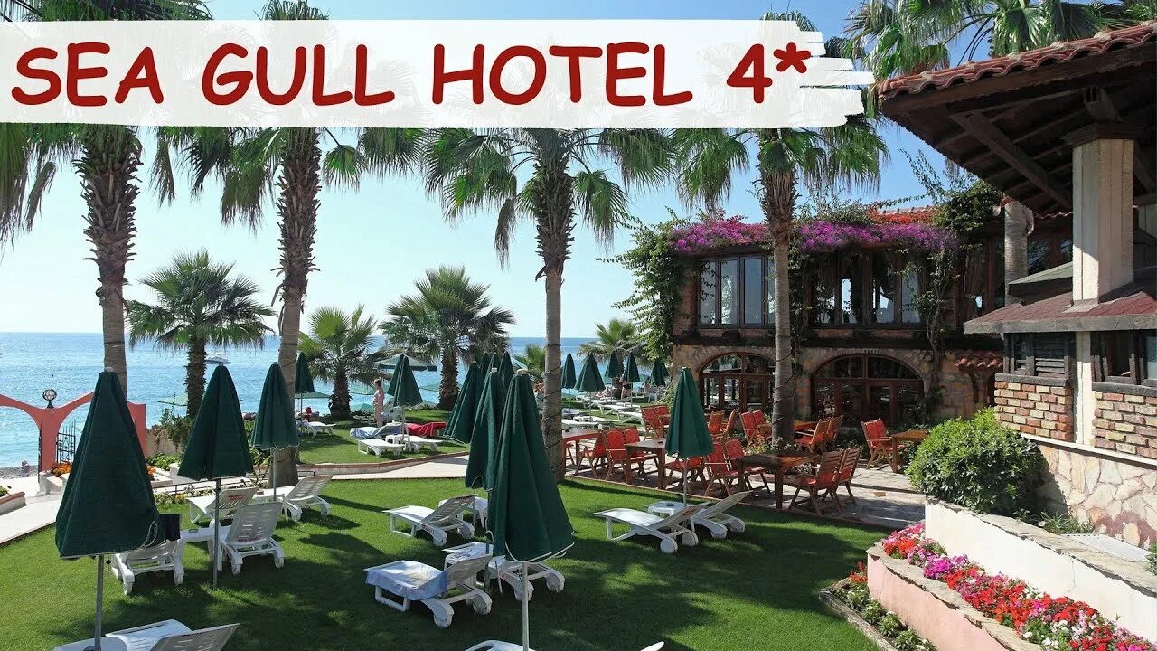 Sea gull отзывы. Seagull beach resort & club 4* аквапарк. Sea gull отзывы. Seagull hotel турция кемер. Sea gull отзывы.
