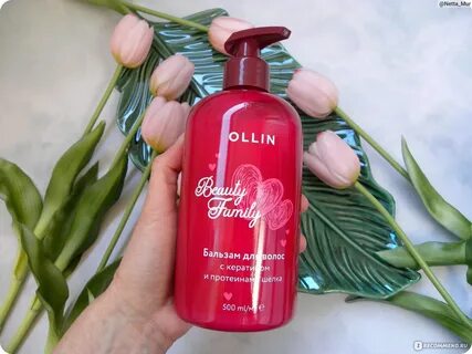 Ollin family