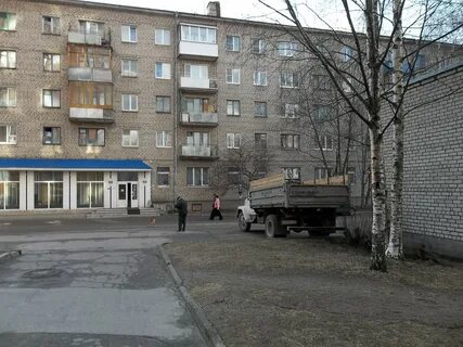 Розы псков
