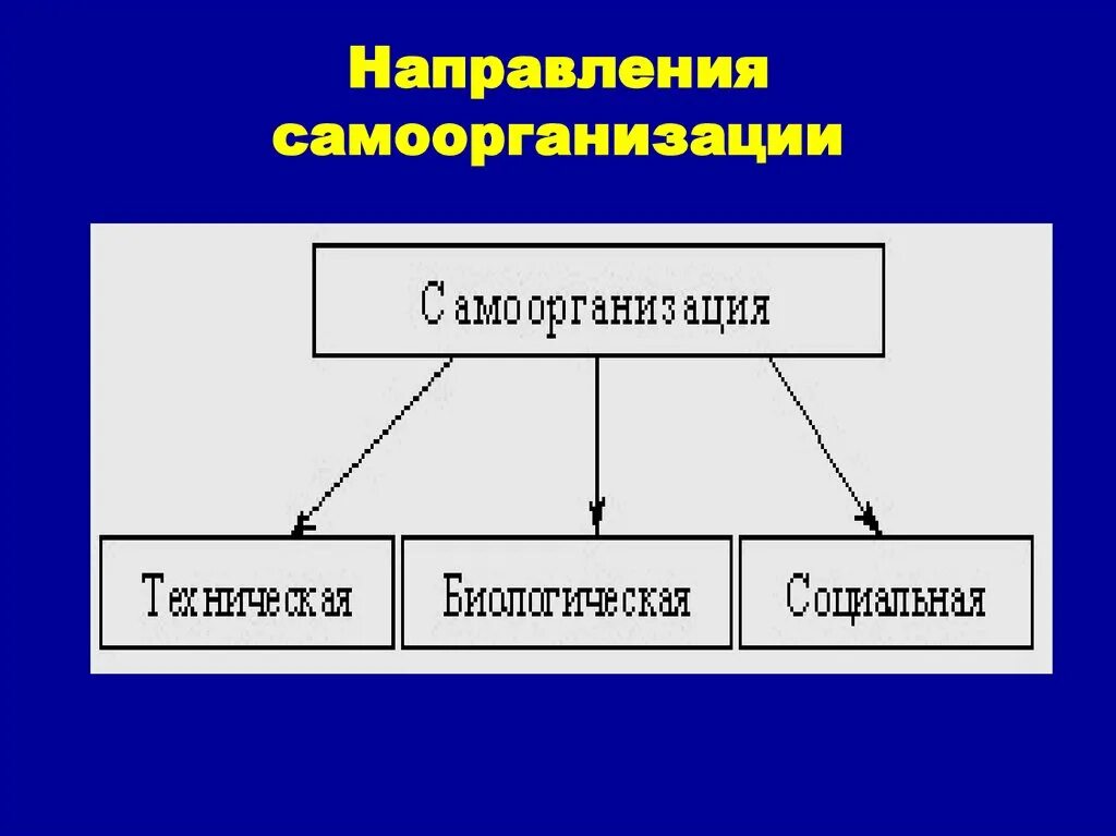 Техническое биологическое социальное управление