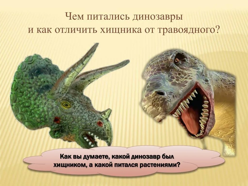 Строго травоядный человек