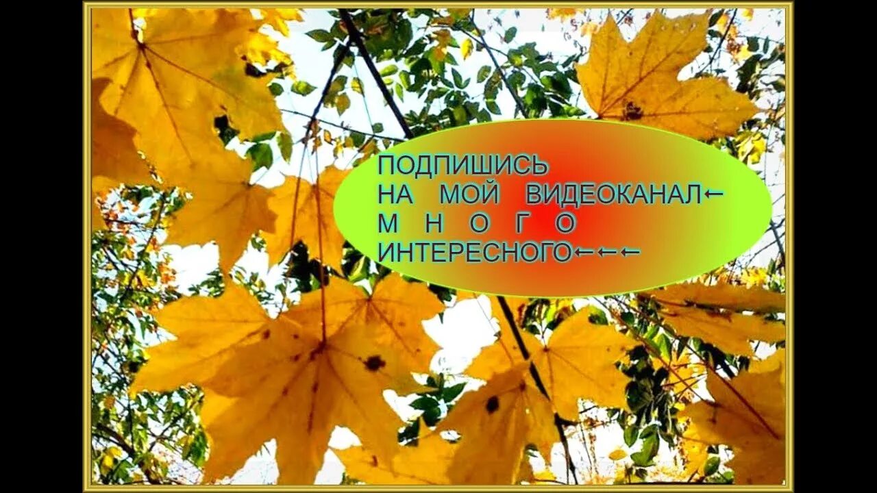 Текст песни листья желтые кружатся. Листья жёлтые над городом текст. Песня листья жёлтые над городом кружатся. Листья жёлтые над городом кружатся слушать. Слова песни листья желтые над городом кружатся текст.