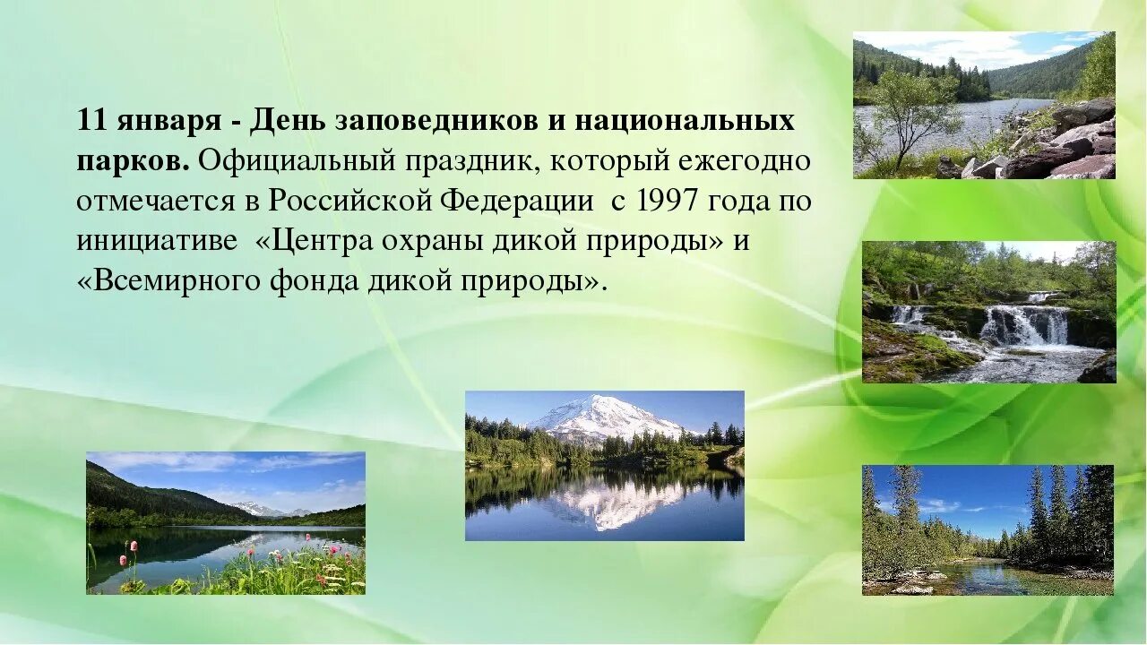 Когда отмечается день заповедников и национальных парков. День заповедников и национальных. всероссийский день заповедников и парков. день заповедников россии. 11 января день заповедников.