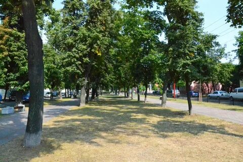Аллея иркутск