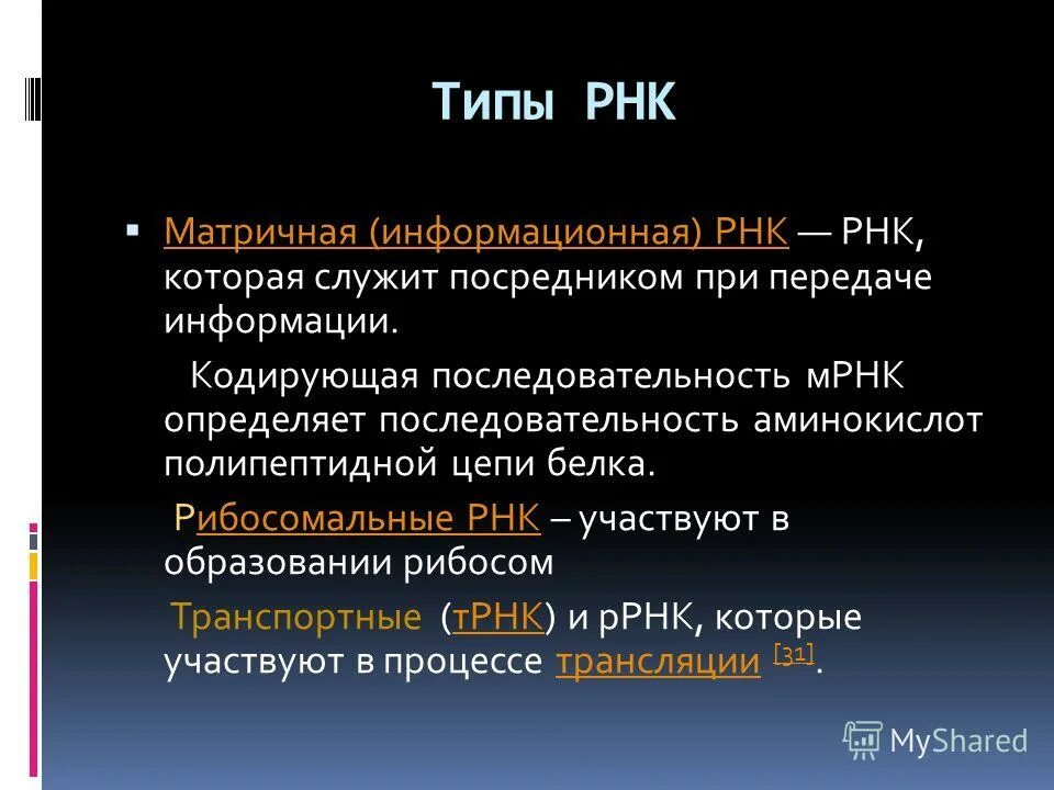 Рнк кодируется. Рнк кодируется