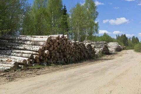 Штабеля мужиков