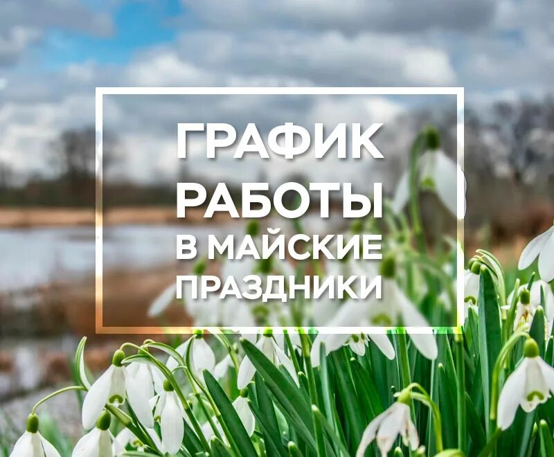 Работа в майские дни. Майские праздники. Всем весеннего дня. Акция на майские праздники. График работы офиса на майские праздники.