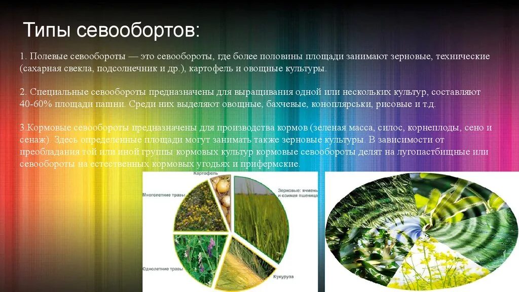 Как называется тип севооборота. Типы и виды севооборотов. севооборот полевых культур. вид культуры для севооборота. полевой севооборот.