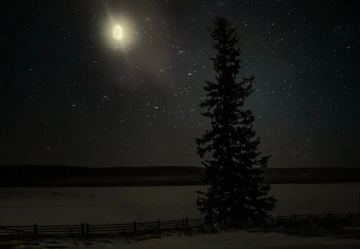 Под луной алекс