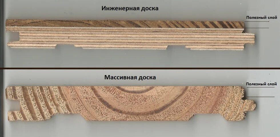 Паркетная доска отличие. Инженерная доска в разрезе. Инженерная доска структура. Инженерная доска строение. Массивная доска в разрезе.