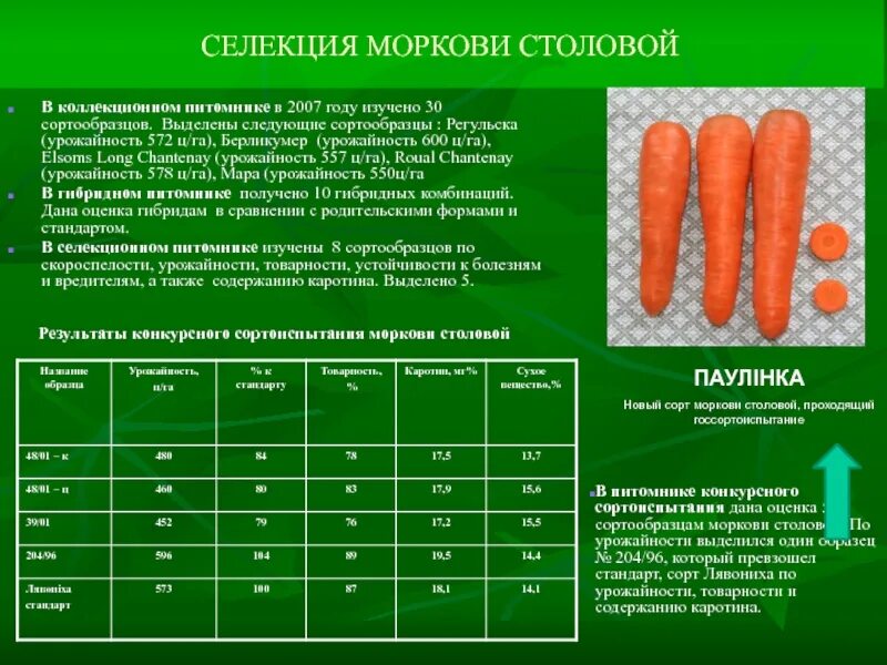 Показатели качества моркови. Сорта моркови таблица. Урожайность моркови. Оценка сортов моркови параметрам. Органолептические качества овощей
