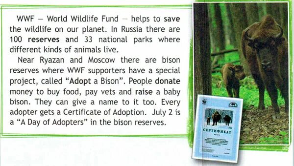 WWF World Wildlife. Как переводится World Wildlife Fund. World Wildlife Fund перевод на русский. The World Wildlife Fund 7 класс ответы. Because of our planet gets hotter and