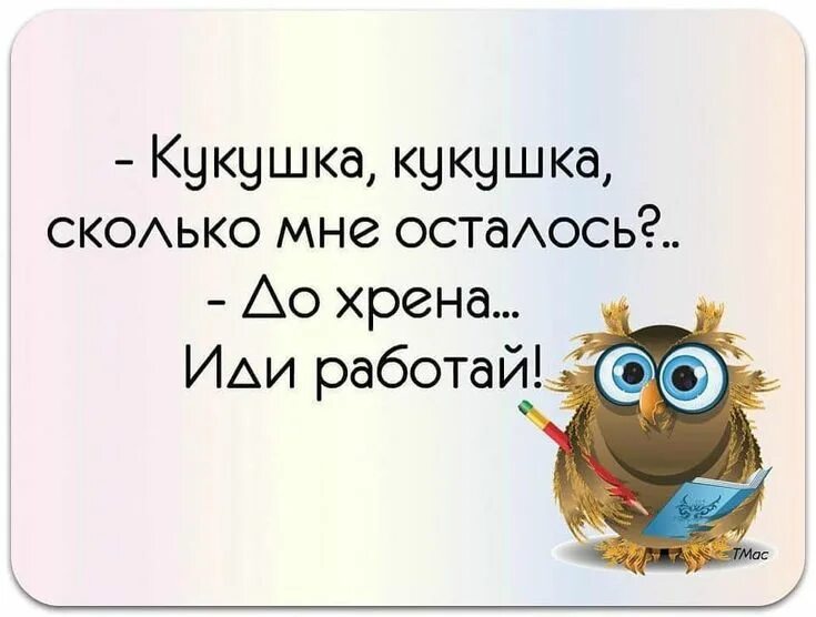 Картинки с юмором для поднятия настроения прикольные. Открытки смешные для поднятия настроения с юмором. утренний юмор в картинках для поднятия настроения. прикольные надписи для поднятия настроения. утренняя шутка для поднятия настроения.