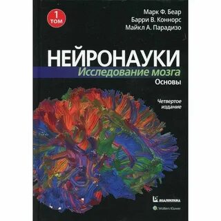 Исследования мозга и нейронауки