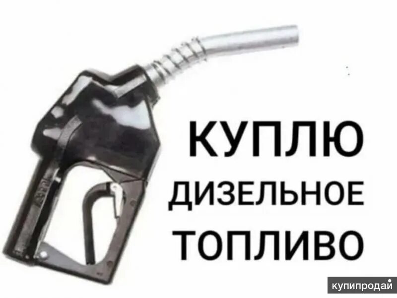 Бензин д т. Закупаем дизельное топливо. Куплю дизельное топливо. ДТ топливо. Куплю д/т.