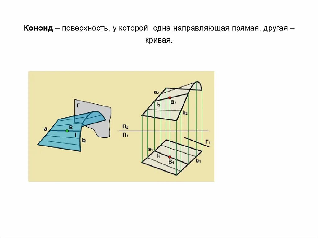 Коноид это. Коноид Начертательная геометрия. Цилиндроид Начертательная геометрия. Поверхность коноида. Коноид и цилиндроид.