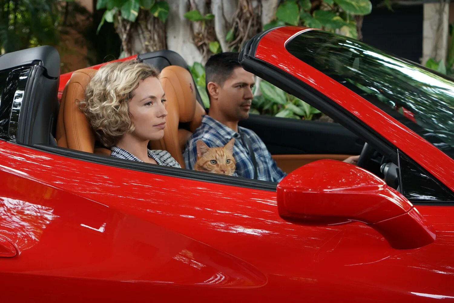 Частный детектив магнум сериал с 2018 г. Частный детектив магнум сериал 2020. Детектив магнум дата выхода. Частный детектив магнум ханна. Детектив магнум дата выхода.