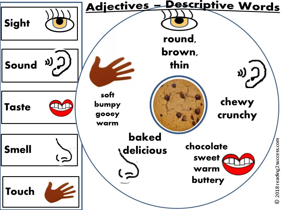 Verbs of senses. Stative verbs в английском языке. Sense verbs adjective. Английские tastes. Five adjectives