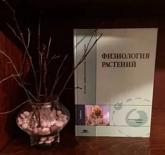 Физиология вуз