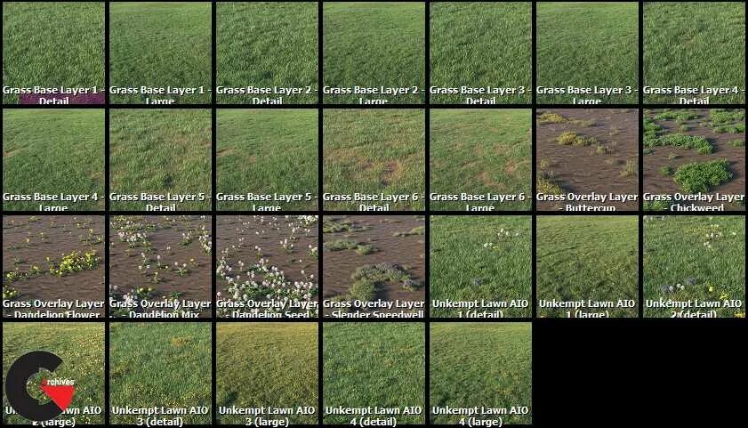 Itoo forest. Forestpack for 3ds max. forest pack 3ds max 2025. форест пак для 3d max библиотека. itoo forest pack pro 6.3.1.
