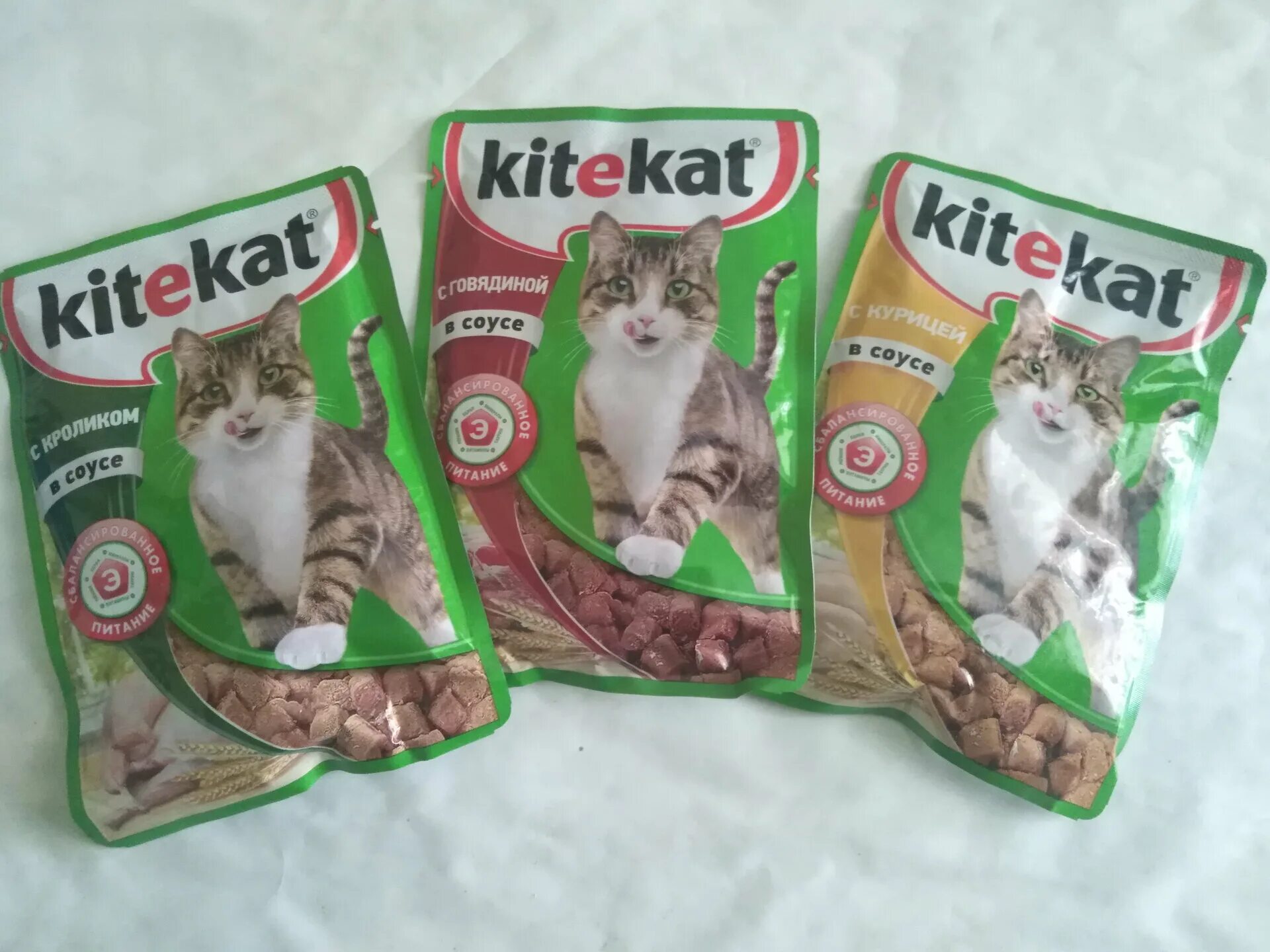 Китикет корм для кошек купить. Kitekat корм для кошек влажный. Влажный корм для кошек Китикет. Корм для кошек Kitekat 24шт. Х 100 Г. Корм для кошек Kitekat с говядиной 24шт. Х 100 Г.