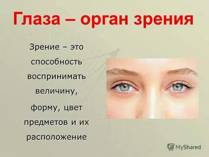 Почему у тебя такие глаза