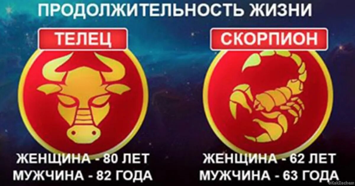 ребенок овен. голова тельца. телец в отношениях. жила телец. Taurus женщина.