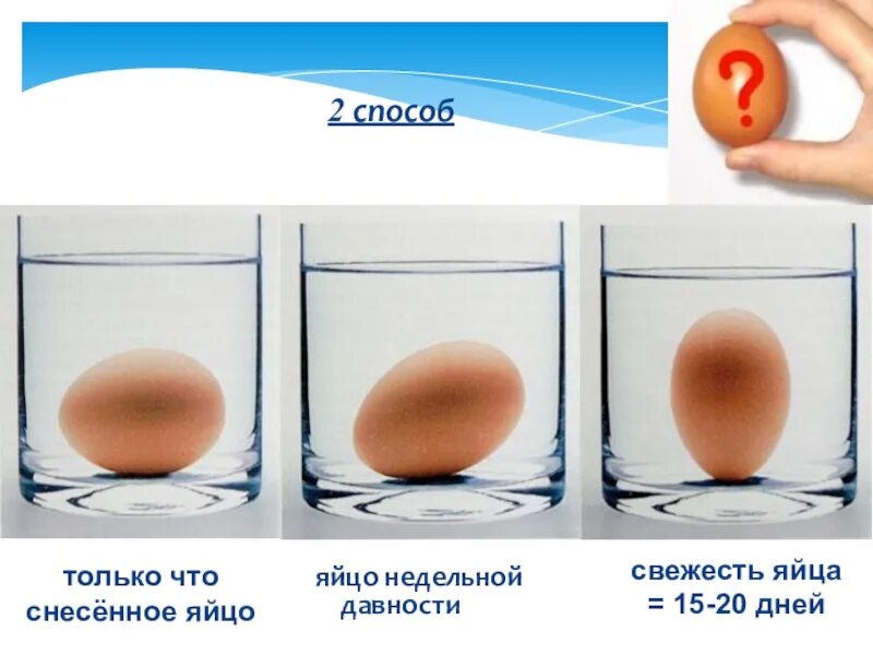Как узнать свежесть яиц. Свежее яйцо. Как определить свежее яйцо. Как понять свежесть яйца. Проверить яйца на свежесть в воде домашних
