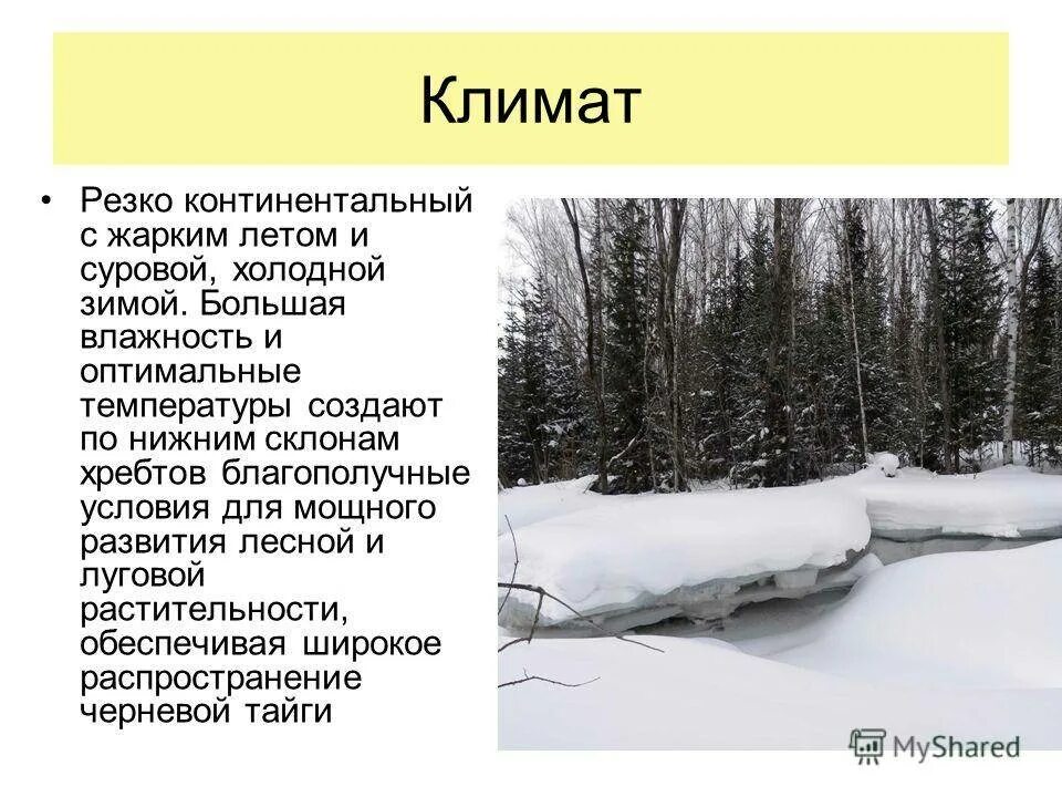 Климат резкоконтинента. Резко континентальный климат. Резкоконтинентальный Клима.. Умеренный резко континентальный климат. Снежная холодная зима умеренно жаркое лето