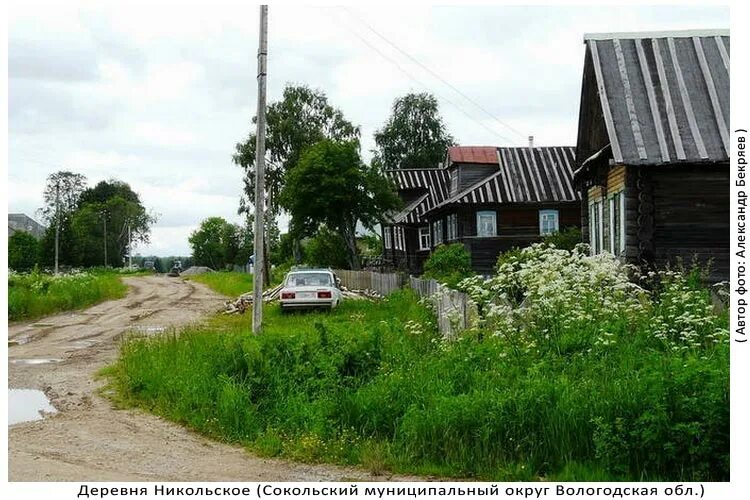 Погода деревня никольское. Никольская деревня Вологодская обл. Биряково Вологодская область Сокольский. Деревня Никольская Вологодская область Сокольский район. Деревни Вологодской области Сокольский район.