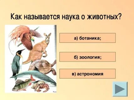 Как называется наука о животных