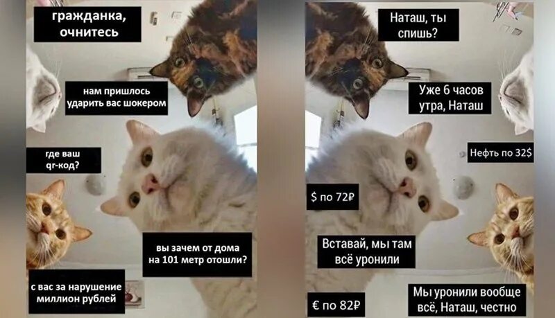 Юля проснись