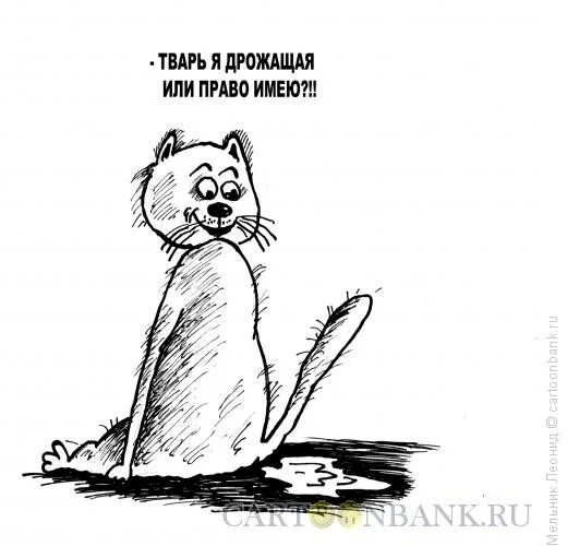 Как правильно дрожжат или дрожат