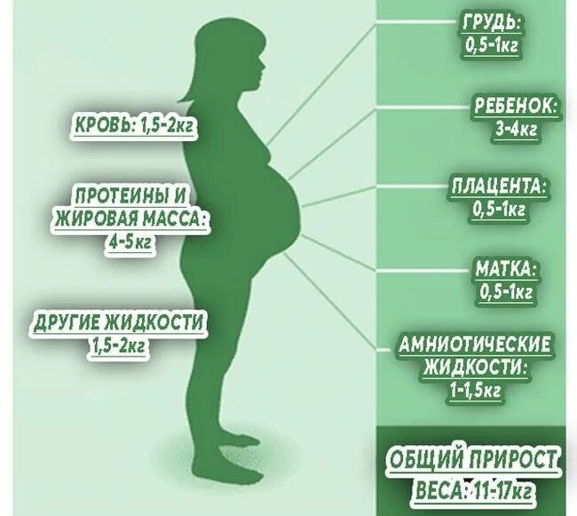 Норма прибавки веса при беременности по неделям 2 триместр. Норма прибавки веса при беременности по месяцам таблица. Норма набора веса при беременности по неделям таблица. Норма набора веса при беременности 2 триместр.