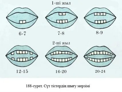Қатал секс туралы видео