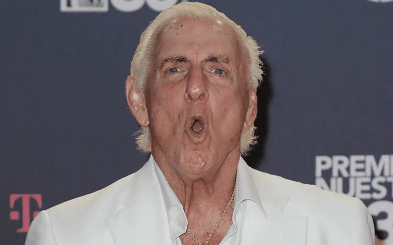 Ric flair. Рик флэр. ric flair wwe. рик флэр в молодости. рик флер рестлер в молодости.