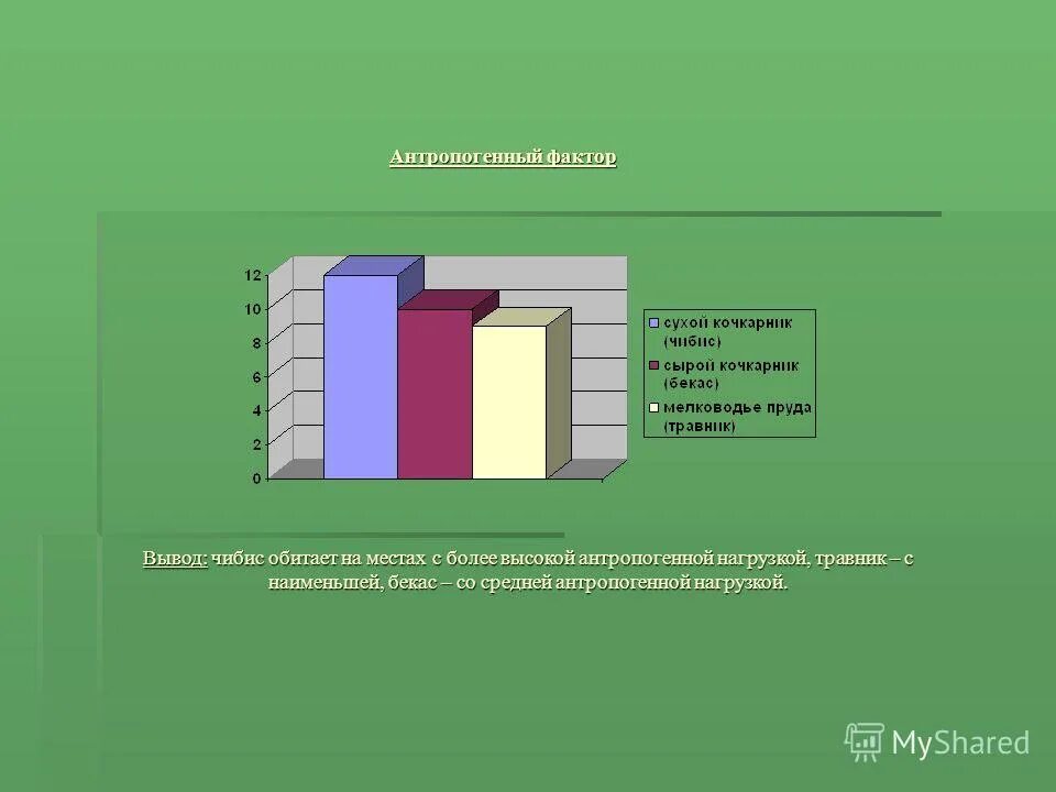 диагностика уровня знаний. уровень экологической культуры школьников. диагностика по экологии. показатели экологической культуры. что такое диагностика в экологии.