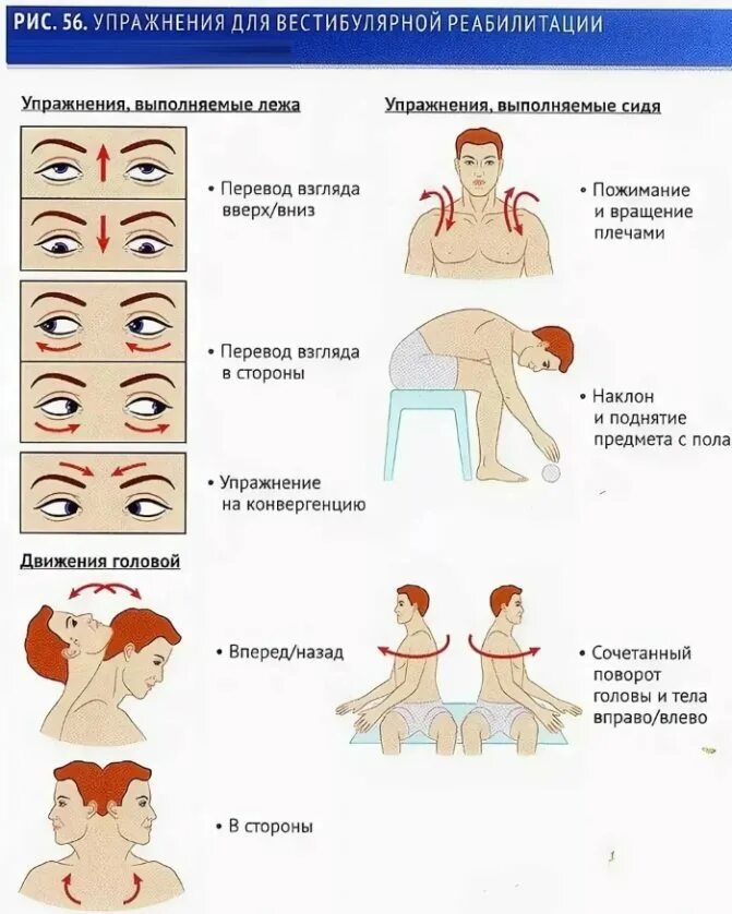 Аппарат вестибулярный нарушения симптомы лечение у взрослых. Гимнастика для вистибюрального аппарата при головокружении. Тренировка для вестибулярного аппарата при головокружении. Комплекс упражнений вестибулярной гимнастики. Гимнастика Брандта-Дароффа при головокружении.