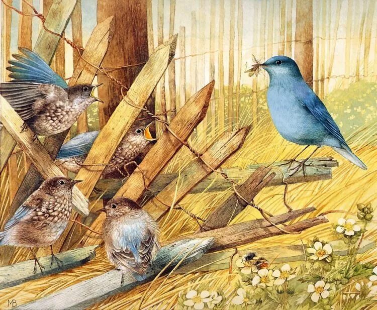 Описание картины птицы. Марджолин Бастин птички. Marjolein Bastin художник синицы. Марджолен Бастин Жаворонки. Птицы живопись.