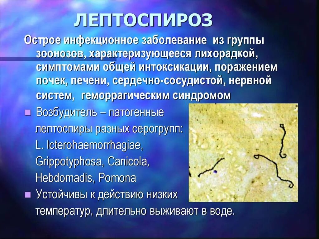 Об утверждении Ветеринарных правил направленных на предотвращение распространени