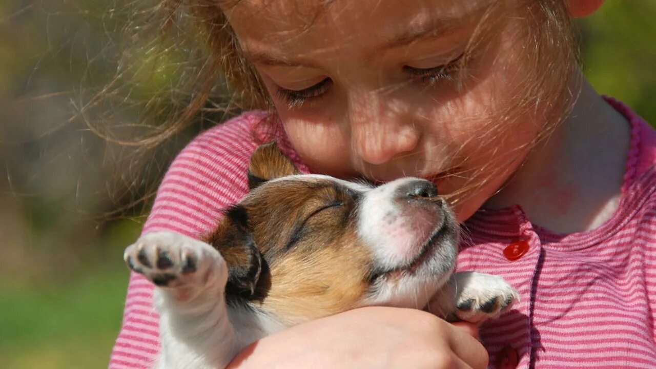 Щеночек девочка. Любовь к животным. Дети и животные доброта. Любовь детей и животных. Для детей. Животные.