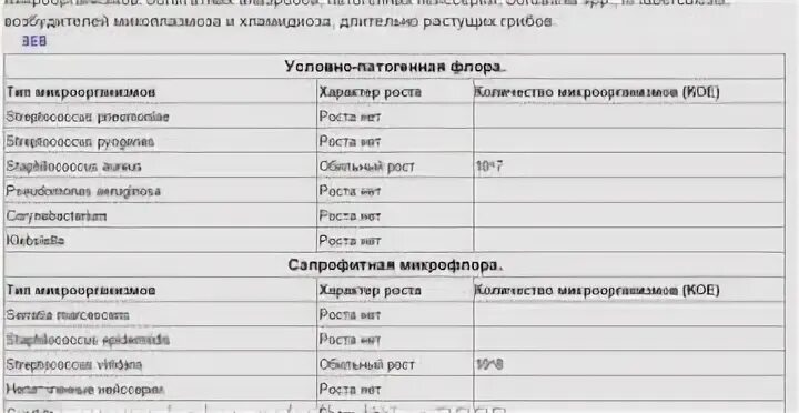 Микрофлора зева и носа