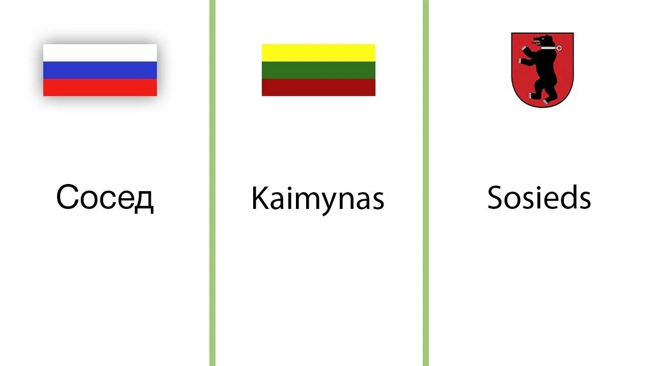 Литовский язык похож на русский. Литовский и русский языки сходство. Белорусский и Литовский языки. Белорусский язык похож на русский.