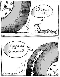 Куда мы катимся