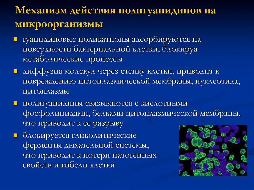 Гуанидины механизм действия. Гуанидины дезинфицирующие средства механизм действия. Механизмы губительного действия на микробы. Механизмы антимикробного действия на микроорганизмы. Споры и вегетативные формы